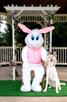 Paws & Bunnies
