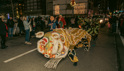 The Chinese New Years Dragons 